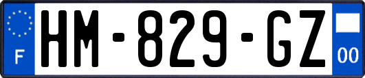 HM-829-GZ