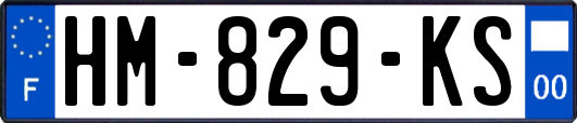 HM-829-KS