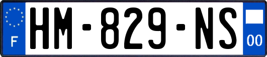 HM-829-NS