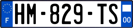 HM-829-TS