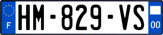 HM-829-VS
