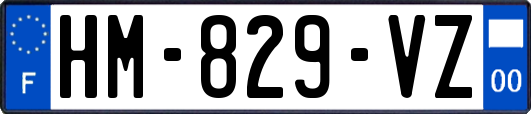 HM-829-VZ