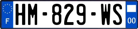 HM-829-WS