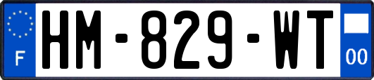 HM-829-WT