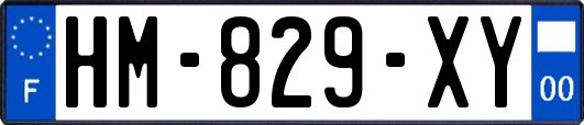 HM-829-XY