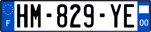 HM-829-YE