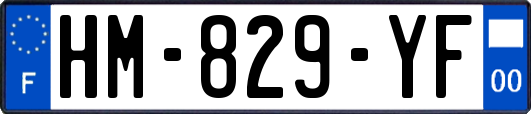 HM-829-YF