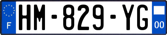 HM-829-YG