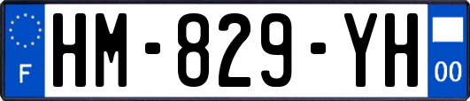 HM-829-YH