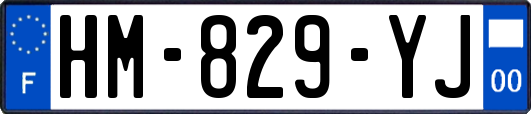 HM-829-YJ