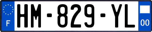 HM-829-YL