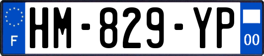 HM-829-YP