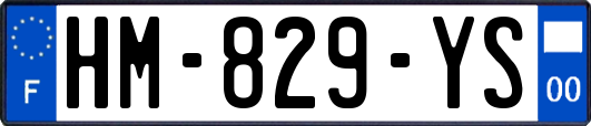 HM-829-YS