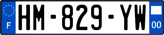 HM-829-YW