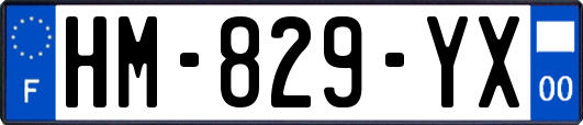 HM-829-YX