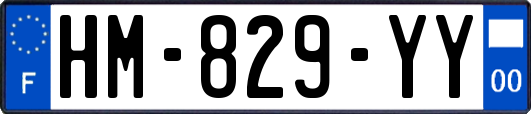 HM-829-YY
