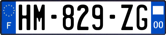 HM-829-ZG