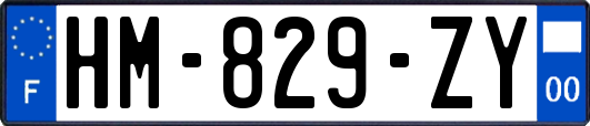 HM-829-ZY