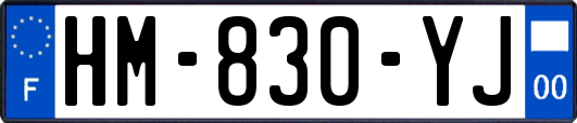 HM-830-YJ