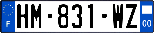 HM-831-WZ