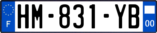 HM-831-YB