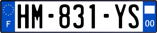 HM-831-YS