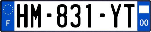 HM-831-YT