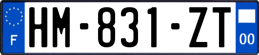 HM-831-ZT
