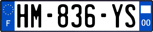 HM-836-YS