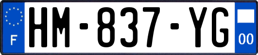 HM-837-YG