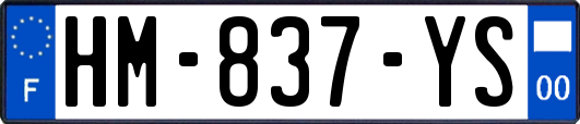 HM-837-YS