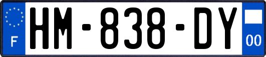 HM-838-DY