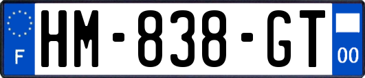 HM-838-GT