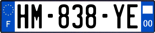 HM-838-YE