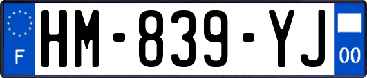 HM-839-YJ