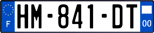 HM-841-DT