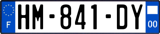 HM-841-DY