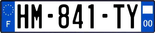 HM-841-TY