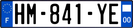 HM-841-YE