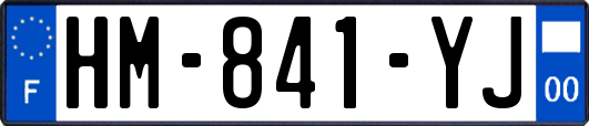 HM-841-YJ