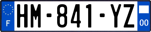 HM-841-YZ