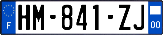 HM-841-ZJ