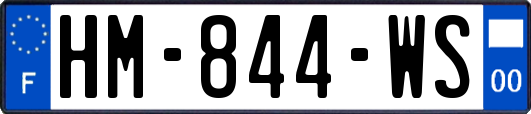 HM-844-WS