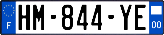 HM-844-YE