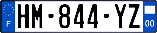 HM-844-YZ