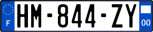 HM-844-ZY