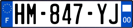 HM-847-YJ