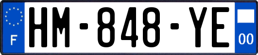 HM-848-YE