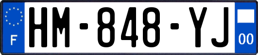 HM-848-YJ