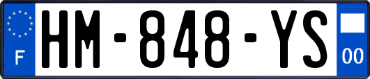 HM-848-YS